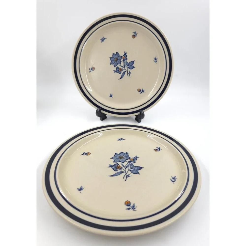 2 Newcor Stoneware Dinner Plates 10.5 